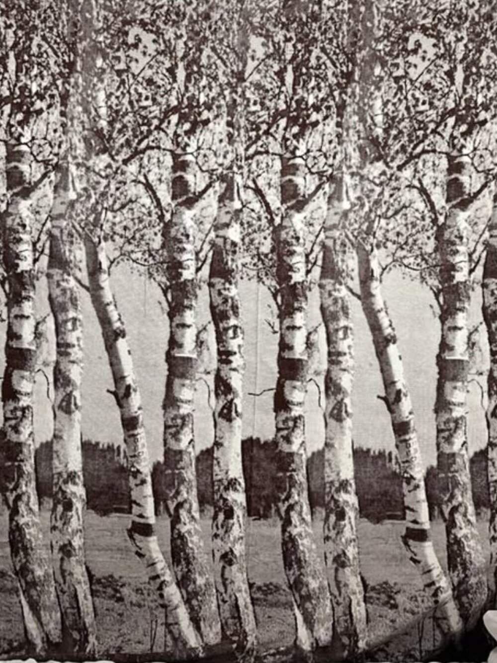 Brown Birch Tree Cotton Wall Hanging